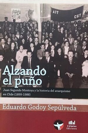 ALZANDO EL PUÑO