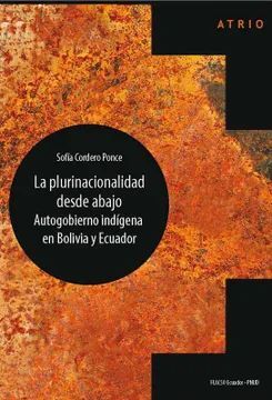 LA PLURINACIONALIDAD DESDE ABAJO