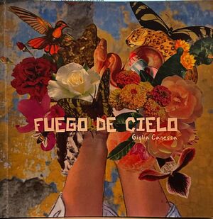 FUEGO DE CIELO