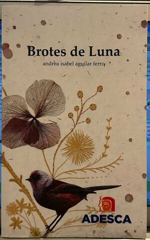 BROTES DE LUNA