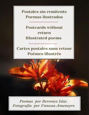 POSTALES SIN REMITENTE. POSTCARDS WITHOUT RETURN. CARTES POSTELS SANS RETOUR